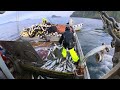 Wild Alaska Purse Seining (full set) Commercial Salmon Fishing