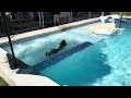 Pretzel in the pool