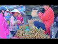 Harvesting Longan Garden Goes To Market Sell - Cooking Longan Tea, Farm, Daily Life | Tieu Lien