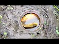 Fish of Kachuripana | Best hunting fish by Amazing | The fishing by.