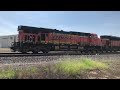 Union Pacific westbound grain train Roseville, CA 4/12/24