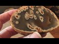 How to “read” a geode or agate/nodule like a geologist!