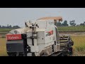 Amazing Rice Harvester in Cambodia,New Activities Harvester Machinery Working, Kubota DC-105X#EP283