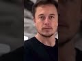 This is Elon Musk 💶🧠Brawl Stars