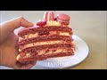 Raspberry Macaron Cake Recipe - Macaron Cake