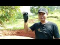 CARA AGAR DAUN DURIAN HIJAU 🌳🌳🌳 PEKAT!!! || LOHJINAWIFARM @DLTdurian