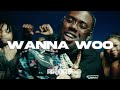 [FREE] Sheff G Type Beat - WANNA WOO