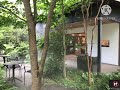 小田原城址公園の蓮の花🪷を見に行ってみました。チラホラしか咲いていませんでした😢。