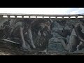 Wellington Dam Collie - The biggest dam mural in the world has landed in WA.