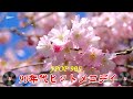 J-pop 90 年代 名曲 邦楽 メドレー 【 青春歌謡 】🌻90年代を代表する邦楽ヒット曲。おすすめの名曲 💖🎶 心に残る懐かしい邦楽曲集