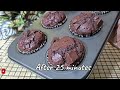 Chocolate muffin overload