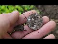 Bugeater's Best Coins of 2022 Found Metal Detecting