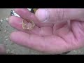 First Gold Finds Of 2022 /Metal Detecting Wisconsin Lakes