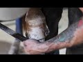 Satisfying Horse Hoof Restoration | 4K ASMR