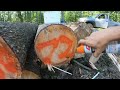 Cutting down saw mill trees