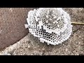 Duct tape vs Hornet nest (trapping them inside)