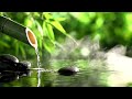 Relaxing Music to Relieve Stress, Anxiety and Depression 🌿 Heals The Mind, Body and Soul