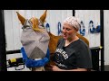Horse Shelter Heroes S5E20  - Nothing But Surprises