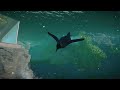 🐧 King penguin habitat with waterfalls | BjørgvinFjord Zoo | Planet Zoo | speedbuild 🌙
