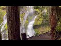 Panther Creek Falls 2021/Amazing, Stunning Water Falls!!! in Washington