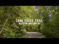 4K Virtual Hike on a Sunny Day - 3,5 Hours Forest Walk along the Coal Creek Trail, Bellevue