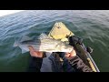 Spring Striped Bass Migration 2023 : Bunker Imitations / Big Paddle tails