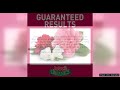 Jobe’s Organics Granular Fertilizer Organic Fertilizer for Azaleas Camellias Review