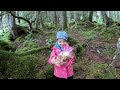 Family Foraging Fun: Teaching the Kids how to Hunt Edible Mushrooms in Alaska | Kilcher Homestead