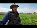 How The World's Most Famous Farm Started w/Joel Salatin (Polyface Farm)