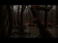 🌩️ Thunderstorm Sounds in the Deep Forest ⛈ | 3 Hour ASMR Rain | 4K