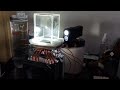 DIY peltier cloud chamber demo