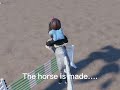 #short   The horse is got vs the horse is made… maple springs eventing