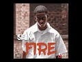 Sean - Fire (Official Audio)