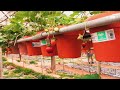 [ VLOG ] Cameron Highland Strawberry Farm • 20200928