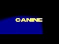 Xinner - CANINE (Official Lyric Video)