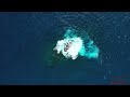 Seychelles 🇸🇨 - by drone [4K]