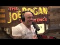 JRE MMA Show #159 with Quinton 