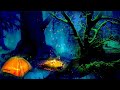 Campfire Ambience with Night Animals Owls and Crickets| Forest Camping | Made for Relaxation & Sleep