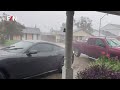 Hurricane Francine makes landfall in Louisiana, US! Houses and trees collapsed