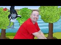 Animal Safari for Children + MORE English Stories for Kids | Steve and Maggie | Wow English TV