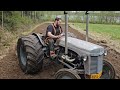 Ferguson Te-20 V8 Tractor Harrowing