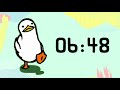 20 minute countdown timer | walking duck