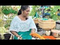 മഴക്കാലത്ത് വെണ്ടക്ക നിറയെ ഉണ്ടാകാൻ 3 ടിപ്സ് | 3 best tips for Venda ( okra ) farming | Malayalam