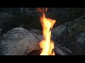 Bushcraft Camping - Tarp Shelter, Fishing, Chaga Tea, Wildlife