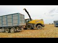 Trinciatura Mais - Corn Silage - #25 con NEW HOLLAND FR850 Yellow Bull