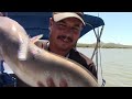 This Desert Lake Has Big Catfish!