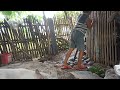 Heavy rain in our countryside | Philippines province life | simple living