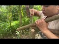 Make a simple wooden house on a tree. A girl's survival life in the forest | Yến survival