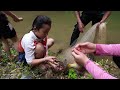 Grilled Fish Lunch Along the Stream Celebrating 100,000 Subscribers, Heavy Rain at the Farm