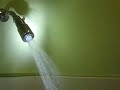 Oxygenics SkinCare Showerhead